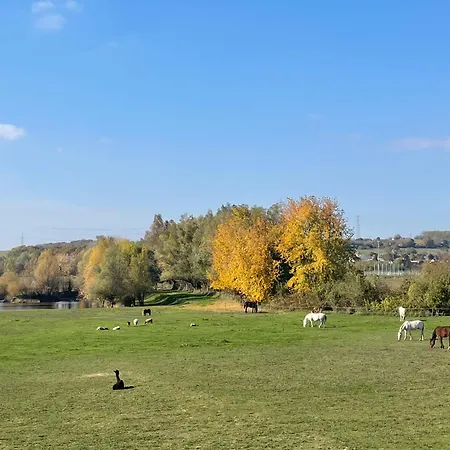 Ulbert Pince Panzio 4*