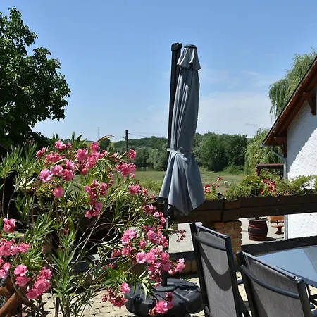 Panzió Ulbert Pince Panzio 4*