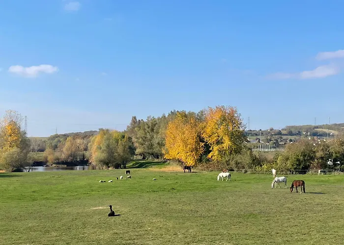Ulbert Pince Panzio 4*